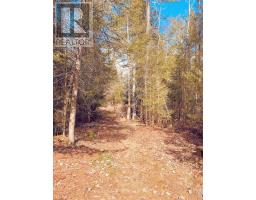 494 Walkhouse Road, Silver Water, Manitoulin Island, ON P0P1Y0 Photo 28