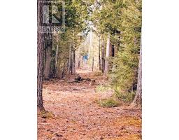 494 Walkhouse Road, Silver Water, Manitoulin Island, ON P0P1Y0 Photo 33