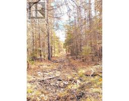 494 Walkhouse Road, Silver Water, Manitoulin Island, ON P0P1Y0 Photo 37