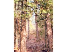 494 Walkhouse Road, Silver Water, Manitoulin Island, ON P0P1Y0 Photo 38
