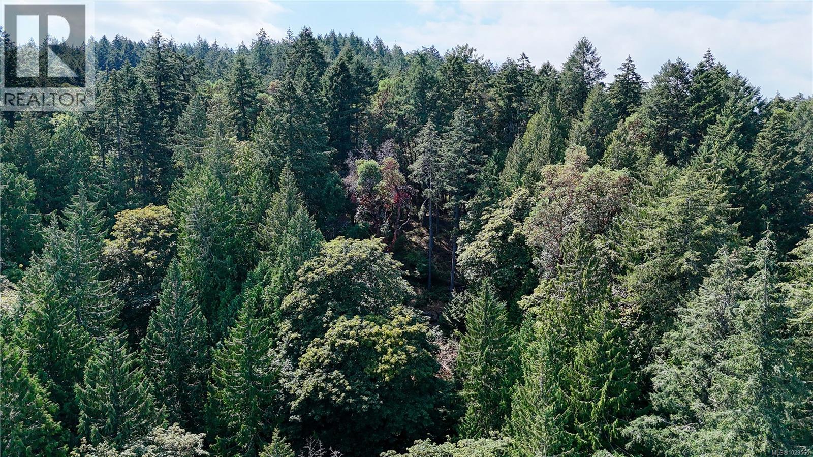  Lot 2 & 4 Willis Point Road, Central Saanich