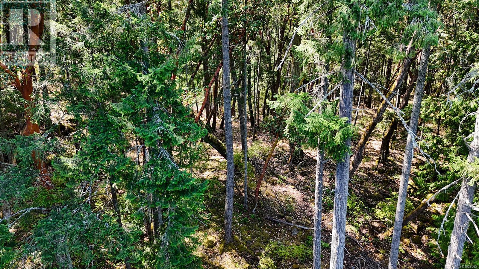  Lot 2 & 4 Willis Point Road, Central Saanich