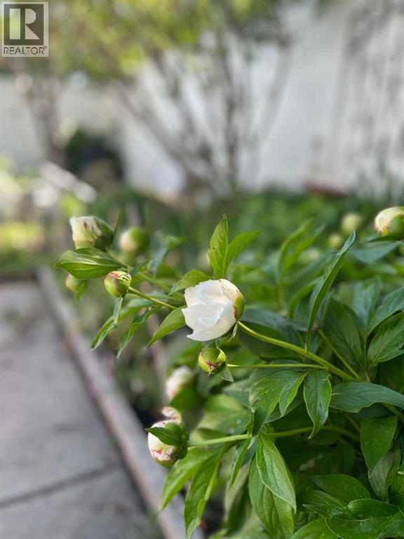 Single Family House 5 Level for Sale in  Brae Glen Lane SW Braeside Calgary 