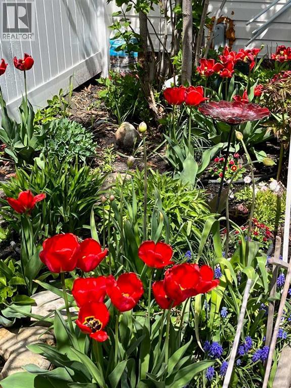 Single Family House 5 Level for Sale in  Brae Glen Lane SW Braeside Calgary 