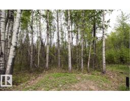 #131 5519 Twp Rd 550, Rural Lac Ste  Anne County, AB T0E0L0 Photo 8
