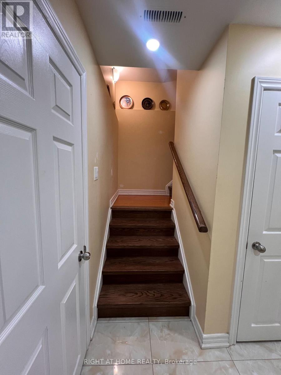 BASEMENT - 17 ASTERFIELD DRIVE E