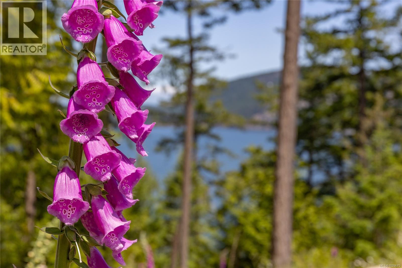  9825 Canal Road, Pender Island