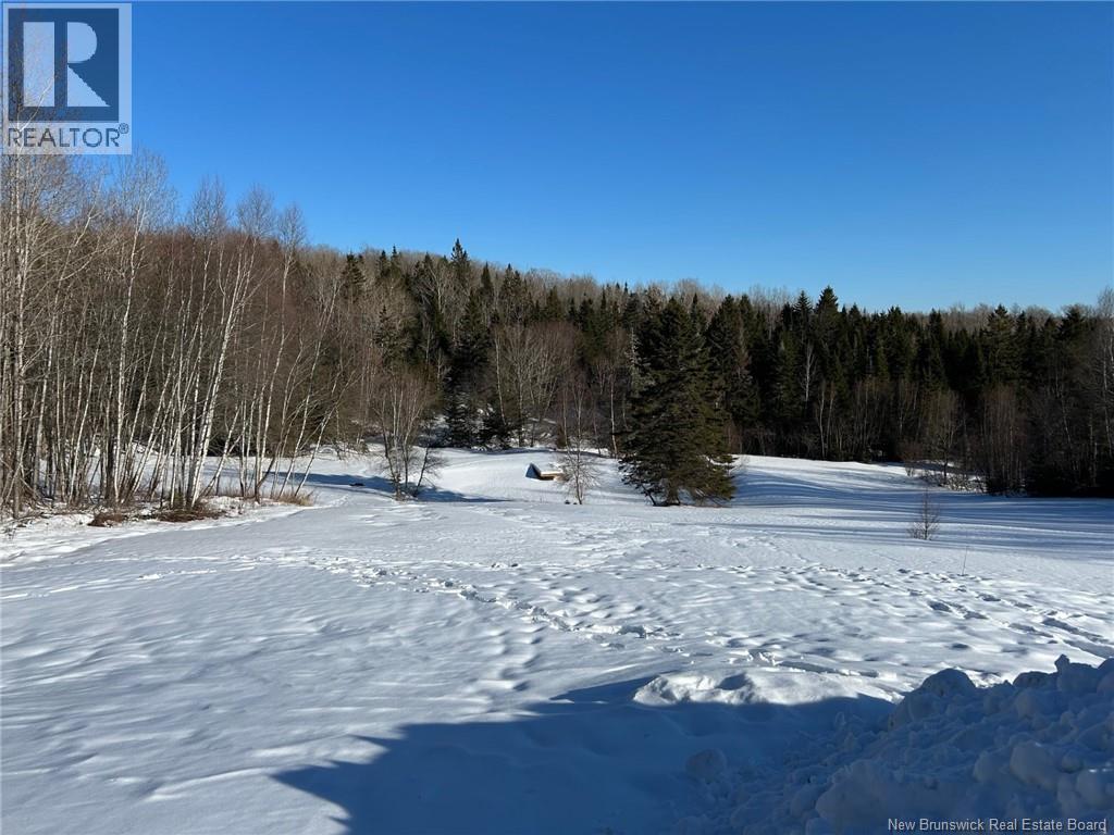80 Mercer Settlement Road — photo 41