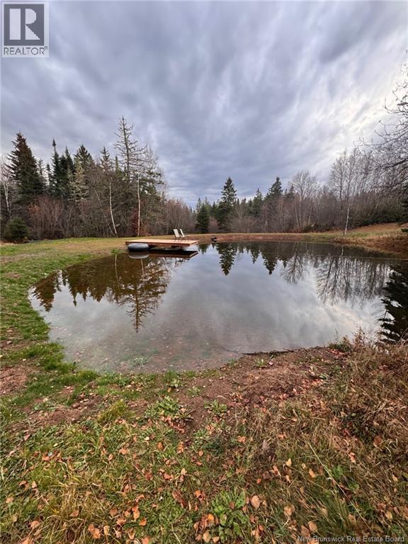 80 Mercer Settlement Road — photo 39