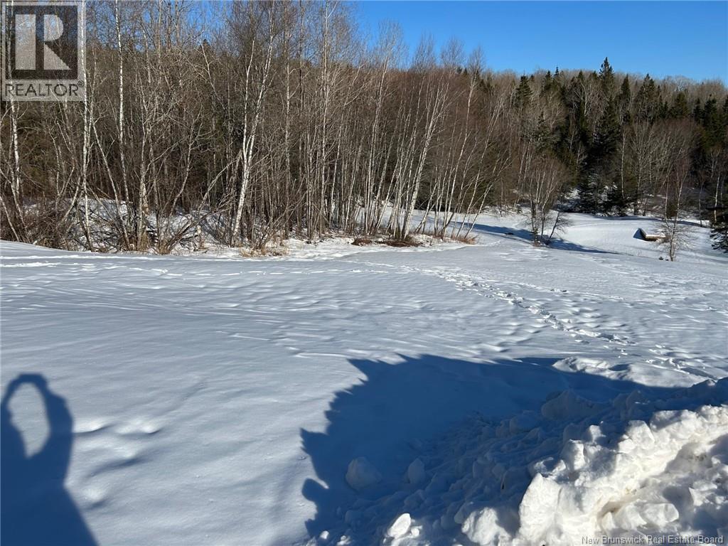 80 Mercer Settlement Road — photo 36