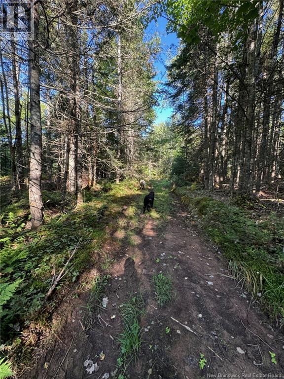 80 Mercer Settlement Road — photo 46