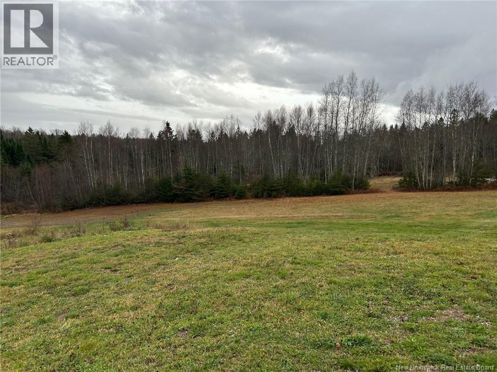 80 Mercer Settlement Road — photo 50