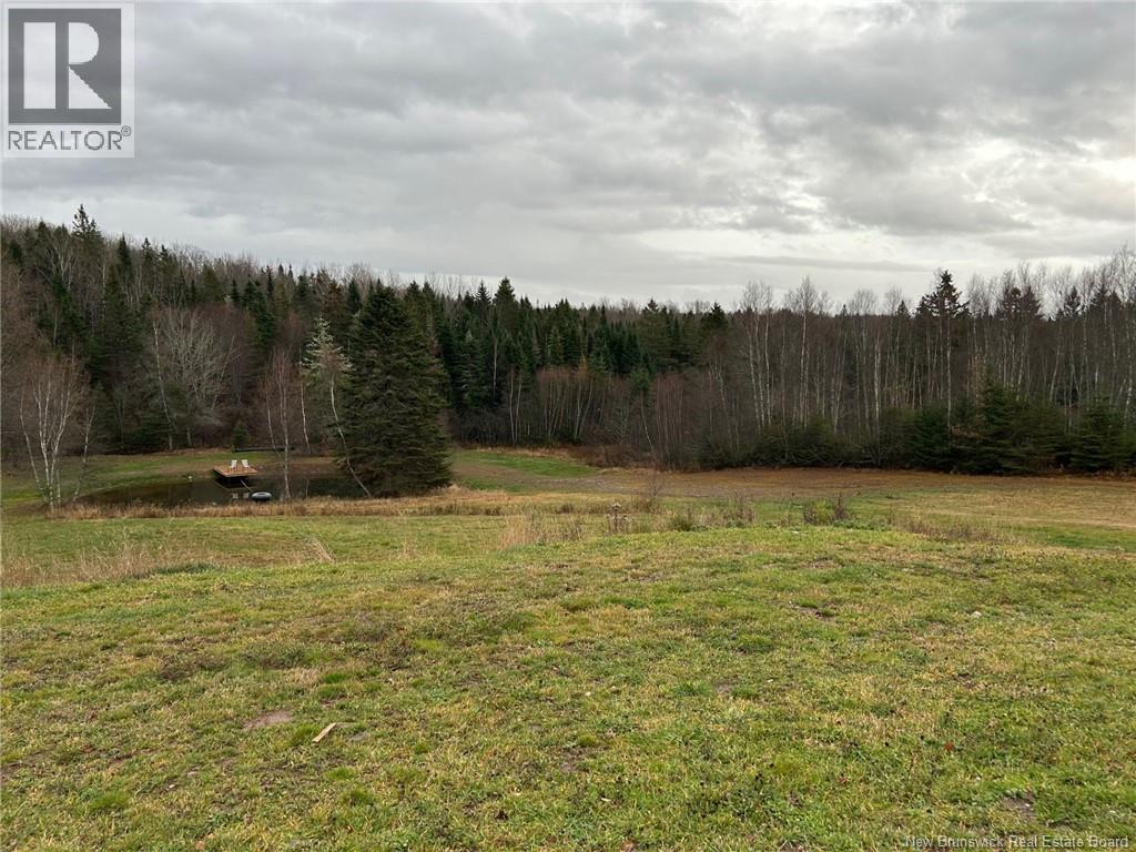 80 Mercer Settlement Road — photo 47