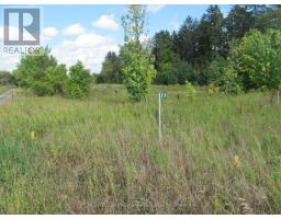 454 River Road, Mcnab/braeside, ON K7S3G8 Photo 10