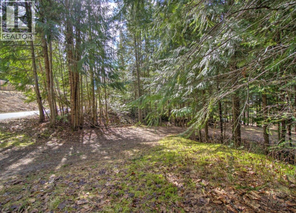  Lot 9 Bayview Road, Nakusp