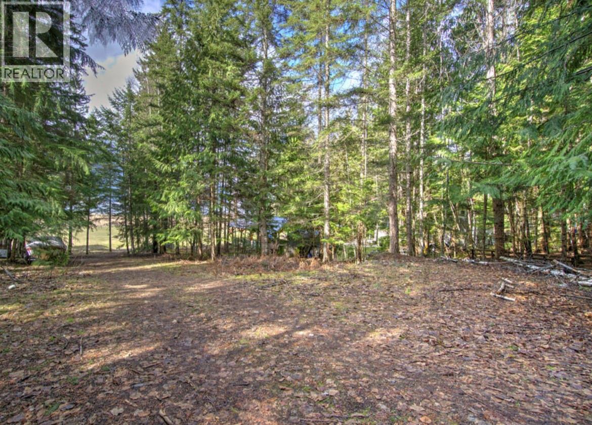  Lot 9 Bayview Road, Nakusp