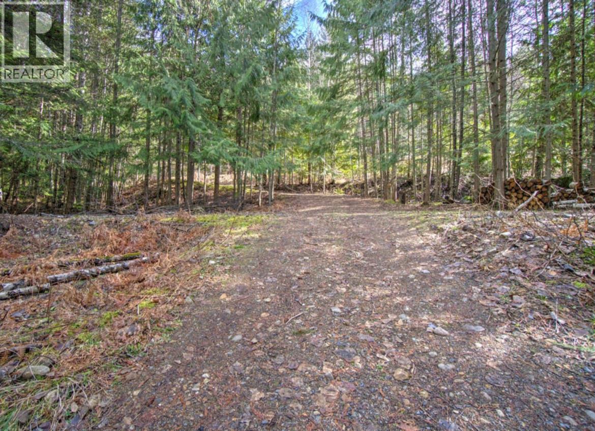  Lot 9 Bayview Road, Nakusp