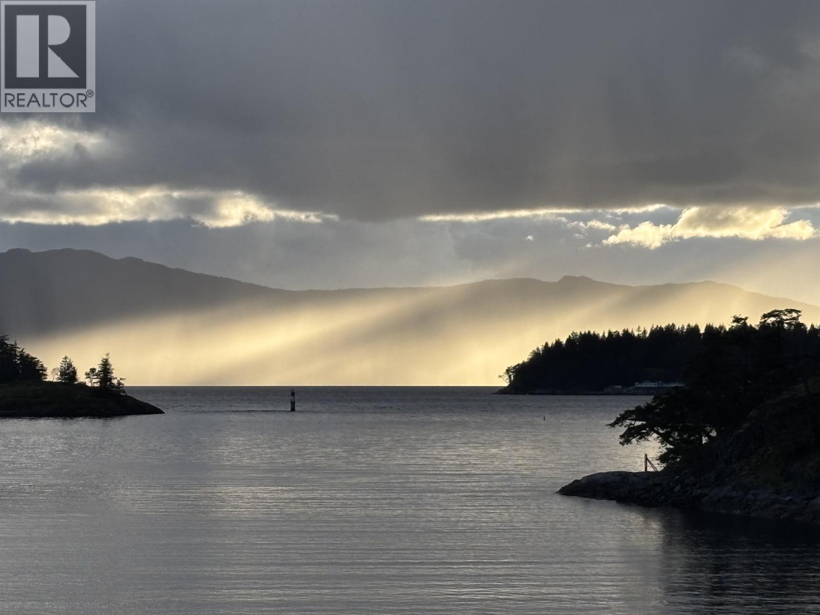 13221 PINEHAVEN Way - photo 2