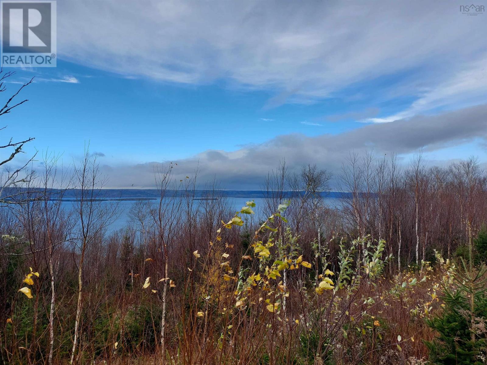 Property 1 of 12 of Lot 10 Golden View Dr