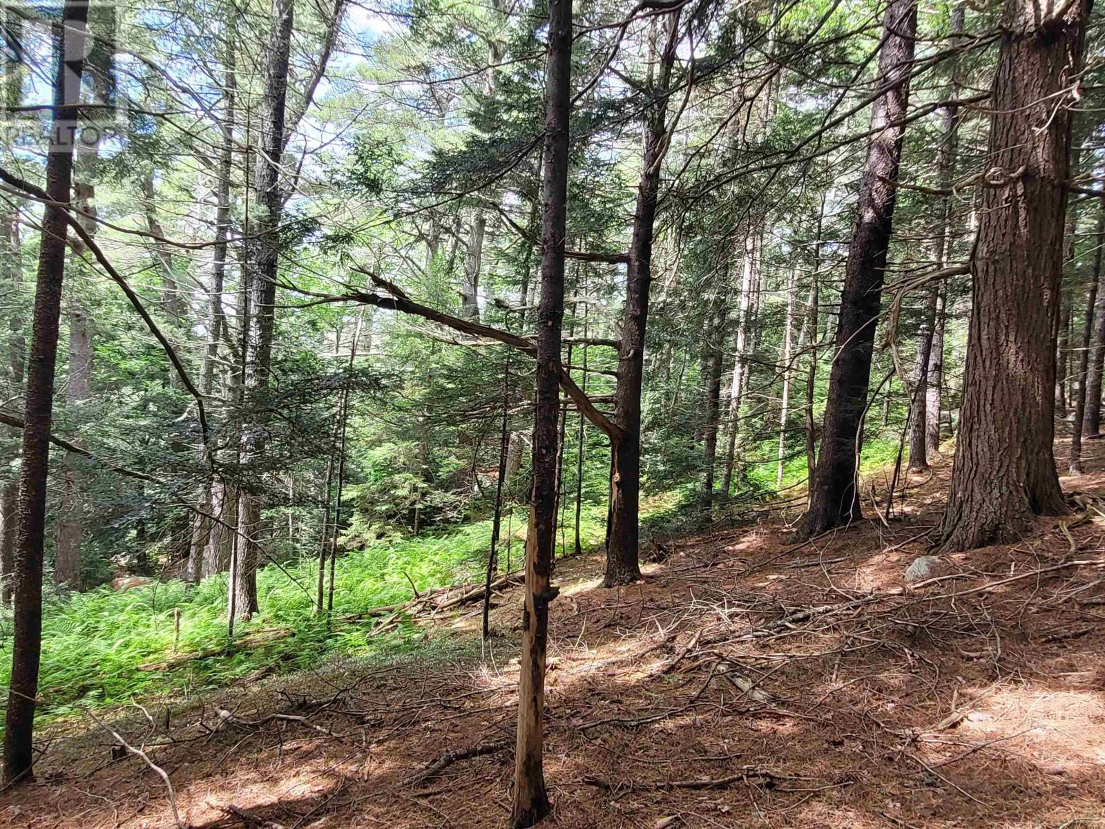 Property 22 of 49 of 221 Highway 8