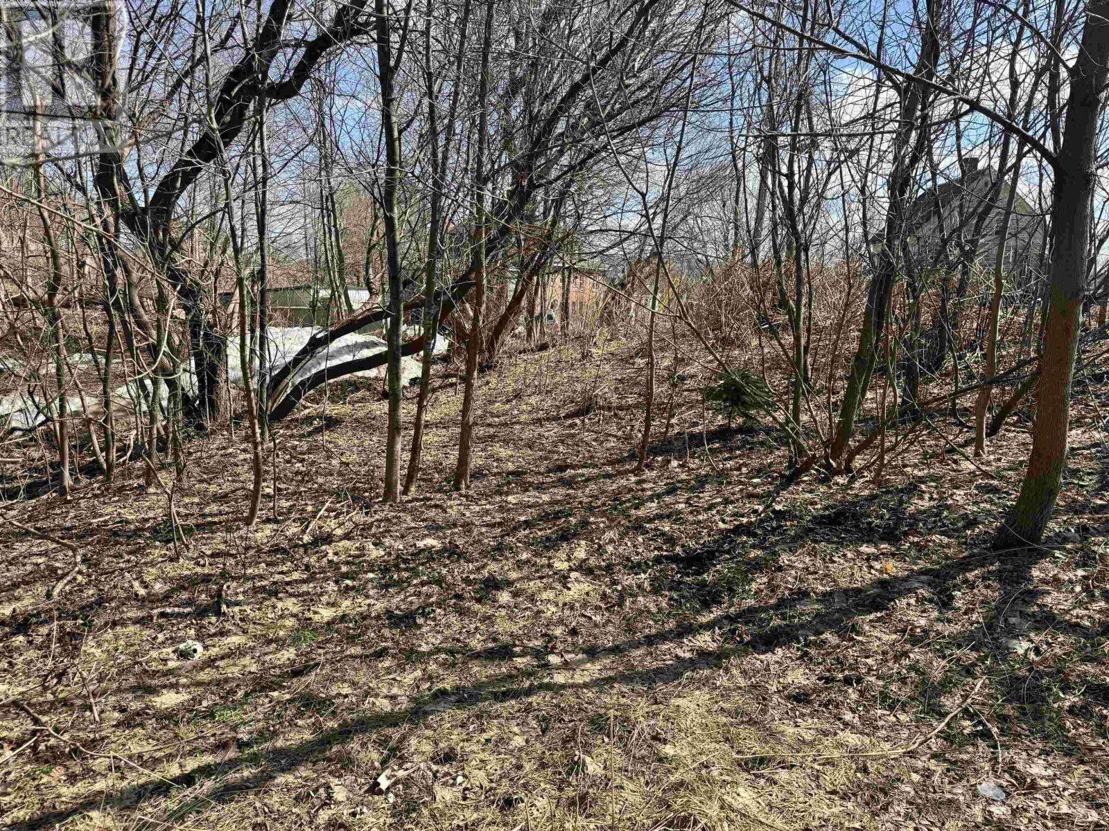 Property 4 of 6 of 23 Munroe Avenue