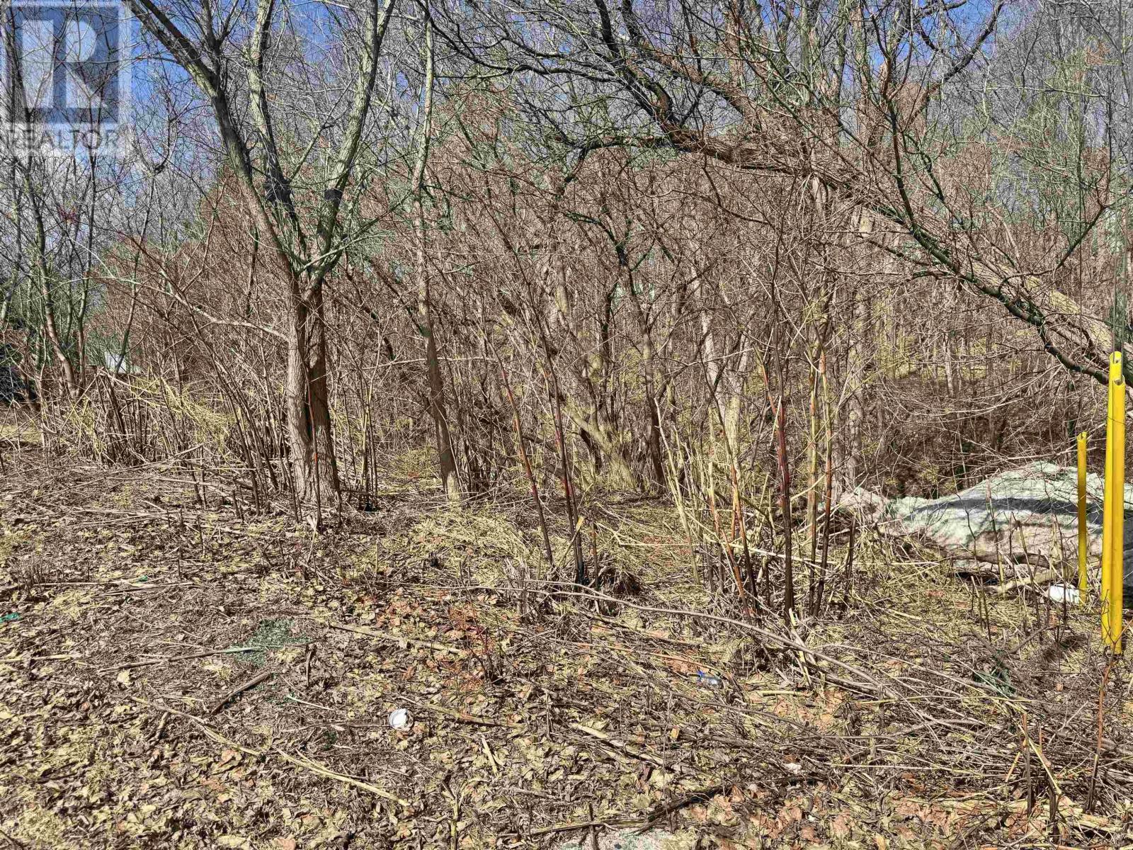 Property 6 of 6 of 23 Munroe Avenue