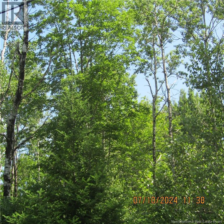 LOT 82-11 Route 770, Lee Settlement — photo 2
