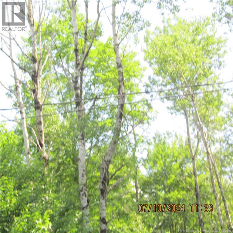 LOT 82-11 Route 770