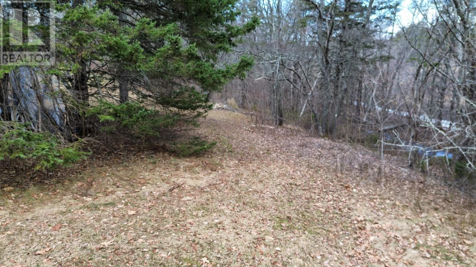 Property 29 of 47 of 19 James Street