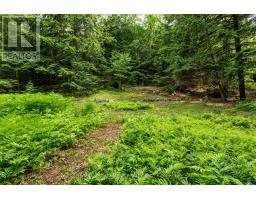 0 Crown Island Island, Huntsville, ON P0B1L0 Photo 25