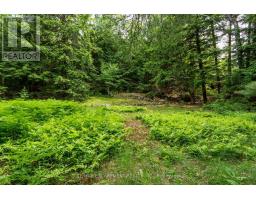 0 Crown Island Island, Huntsville, ON P0B1L0 Photo 27