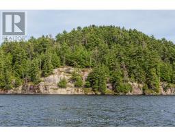 0 Crown Island Island, Huntsville, ON P0B1L0 Photo 9