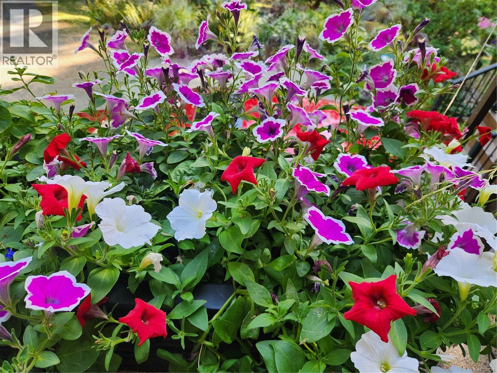 8965 & LOT 2 MEADES CREEK RD - 81