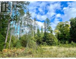 0 Cardwell Lake Road, Huntsville, ON P0B1M0 Photo 14