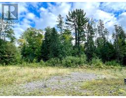 0 Cardwell Lake Road, Huntsville, ON P0B1M0 Photo 15