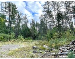 0 Cardwell Lake Road, Huntsville, ON P0B1M0 Photo 16