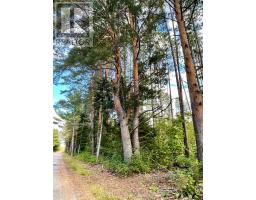 0 Cardwell Lake Road, Huntsville, ON P0B1M0 Photo 17