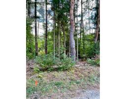 0 Cardwell Lake Road, Huntsville, ON P0B1M0 Photo 20