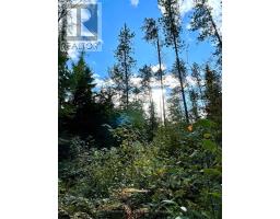 0 Cardwell Lake Road, Huntsville, ON P0B1M0 Photo 22