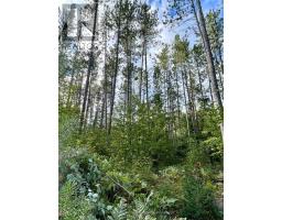 0 Cardwell Lake Road, Huntsville, ON P0B1M0 Photo 23
