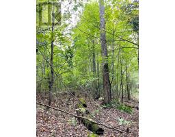 0 Cardwell Lake Road, Huntsville, ON P0B1M0 Photo 25