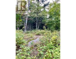 0 Cardwell Lake Road, Huntsville, ON P0B1M0 Photo 26
