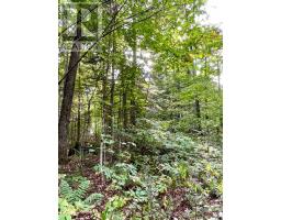 0 Cardwell Lake Road, Huntsville, ON P0B1M0 Photo 27