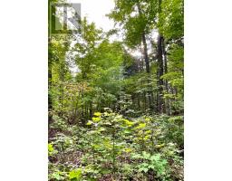 0 Cardwell Lake Road, Huntsville, ON P0B1M0 Photo 28