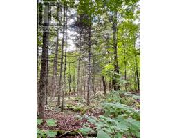 0 Cardwell Lake Road, Huntsville, ON P0B1M0 Photo 29