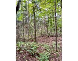 0 Cardwell Lake Road, Huntsville, ON P0B1M0 Photo 30