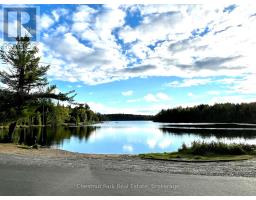 0 Cardwell Lake Road, Huntsville, ON P0B1M0 Photo 31