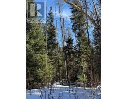 0 Cardwell Lake Road, Huntsville, ON P0B1M0 Photo 35