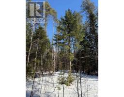0 Cardwell Lake Road, Huntsville, ON P0B1M0 Photo 36