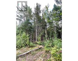 0 Cardwell Lake Road, Huntsville, ON P0B1M0 Photo 9